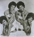 SHIRELLES